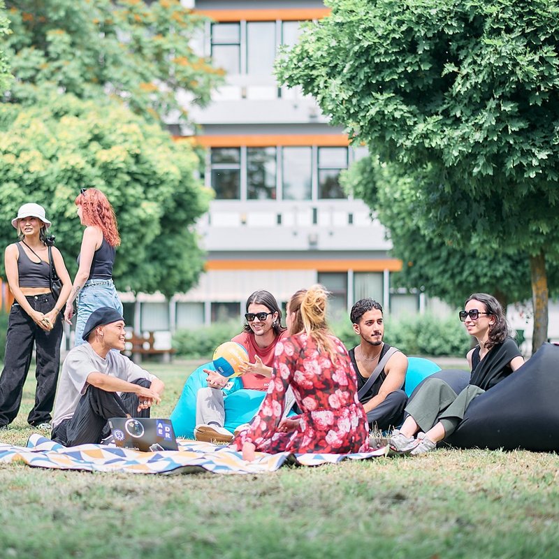 Studierende sitzen entspannt auf Decken im Gras und unterhalten sich